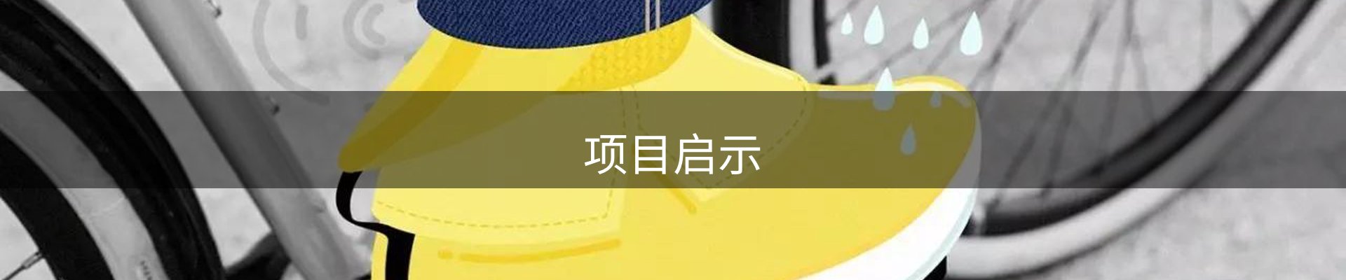 项目启示